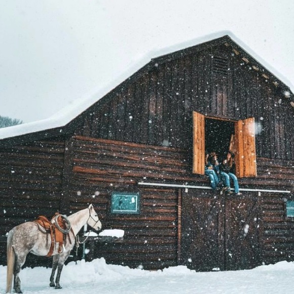 🍁We Sell Lots of Bundles… Let’s Work Together🍁 - Picture 7 of 7